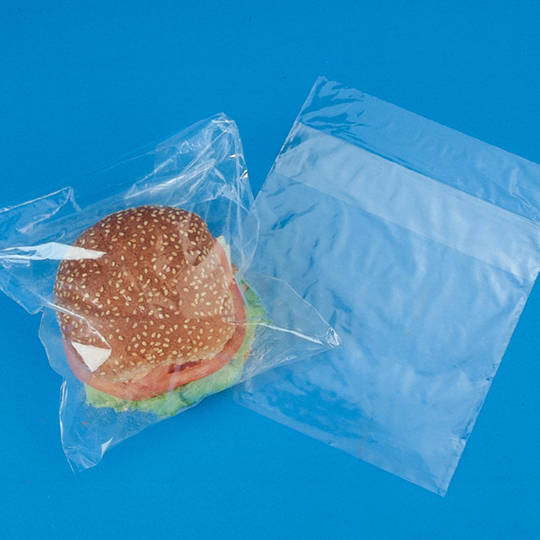 7x7x2 LDPE FLIPTOP JUMBO SANDWICH BAG .7ml 1000/CASE - Closeout Korner